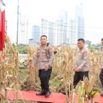 Polres Metro Jakarta Pusat Panen Raya, Jagung Tumbuh di Tengah Hiruk Pikuk Ibu Kota