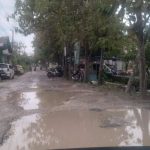 Seperti Kolam Renang Jalan Poros Manyar Kabupaten Lamongan Rusak Parah