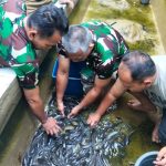Babinsa Koramil 02/SB Panen Ikan Lele Hasil Budidaya Mandiri