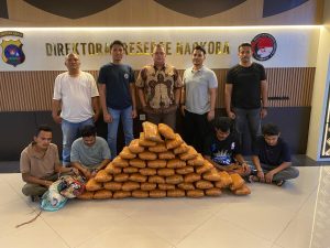 Polisi Gagalkan Peredaran 47 Kg Ganja di Sumbar, 4 Tersangka Ditangkap