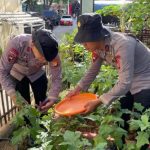Satuan Brimob Polda Metro Jaya Dukung Ketahanan Pangan Melalui Program Budidaya Tanaman dan Perikanan
