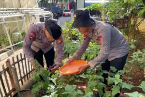 Satuan Brimob Polda Metro Jaya Dukung Ketahanan Pangan Melalui Program Budidaya Tanaman dan Perikanan