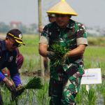 Dandim 0502/JU Pimpin Acara Tanam Padi Serentak dan Gapoktan Rorotan Jaya Dalam Rangka Pendampingan Ketahanan Pangan