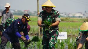 Dandim 0502/JU Pimpin Acara Tanam Padi Serentak dan Gapoktan Rorotan Jaya Dalam Rangka Pendampingan Ketahanan Pangan