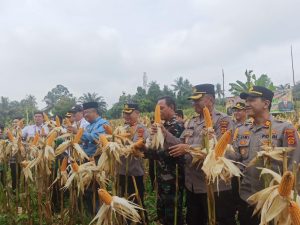 Program Gugus Tugas Ketahanan Pangan Polda Jambi Sukses Panen Jagung di Enam Polres