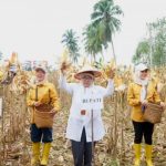 Dalam Rangka Mendukung Program Ketahanan Pangan, Kepala Dinas TPHP Hayatun Hadiri Panen Raya Tahap II di Desa Air Satan