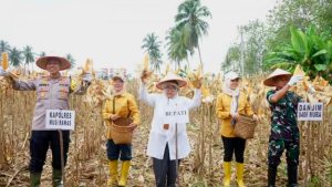 Dalam Rangka Mendukung Program Ketahanan Pangan, Kepala Dinas TPHP Hayatun Hadiri Panen Raya Tahap II di Desa Air Satan