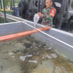 Mendukung Program Ketahanan Pangan Babinsa Koramil 02/SB Laksanakan Perawatan Budidaya Ikan Lele