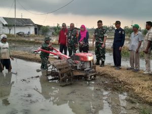 Kolonel Inf Agung Budhi Purnomo Pgs. Dandim 0502/JU Beri Motivasi Petani Saat Tinjau Olah Lahan Padi di Rorotan