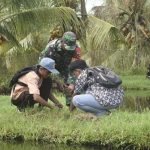 Lestarikan Lingkungan, Satgas TMMD Ke-124 Kodim 1501/Ternate Laksanakan Penghijauan
