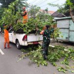 Sinergi Tiga Pilar, Babinsa Koramil 01/Menteng Laksanakan Grebek Lumpur Dan Penopingan Pohon