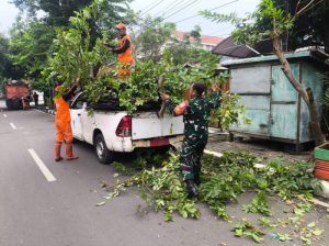 Sinergi Tiga Pilar, Babinsa Koramil 01/Menteng Laksanakan Grebek Lumpur Dan Penopingan Pohon