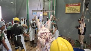 Pemkab Tuban Jelang Idul Adha Latih Juru Sembelih Hewan