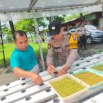 Gerakan Tanam Hidroponik di Sidoarjo, Warga Manfaatkan Lahan Kosong untuk Dukung Program Asta Cita