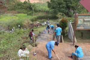 Merebut Kembali Green Card Unesco