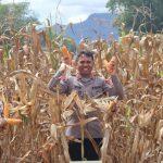 Kapolres Toba Hadiri Panen Raya Jagung Kuartal II Secara Serentak Bersama Presiden RI
