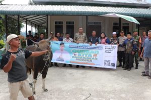 Pemkab Toba Serahkan Hewan Qurban Sumbangan Gubsu dan Presiden