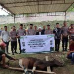 Polres Toba Laksanakan Pemotongan Hewan Qurban