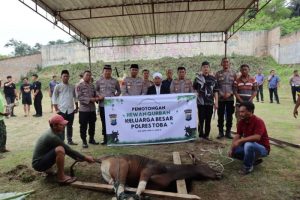 Polres Toba Laksanakan Pemotongan Hewan Qurban