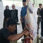 Mbak Wali: Retribusi di UPTD RPH Kelurahan Pojok Gratis, Aman Dikonsumsi dan Sesuai Syariat