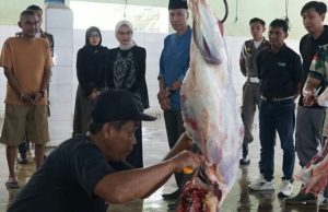 Mbak Wali: Retribusi di UPTD RPH Kelurahan Pojok Gratis, Aman Dikonsumsi dan Sesuai Syariat