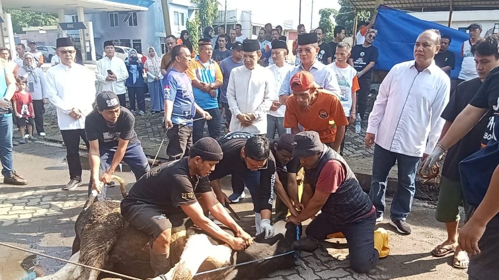 Peringati Idul Adha 1446 H, Dinas Perhubungan DKI Jakarta Salurkan 41 Ekor Sapi dan 11 Kambing sebagai Hewan Kurban