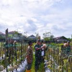 Dandim 1710/Mimika Tinjau Ketahanan Pangan di Lahan Percontohan Petani Binaan