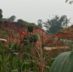 Oknum ASN di Tuban Diduga Kelola Tambang Ilegal di Desa Hargoretno