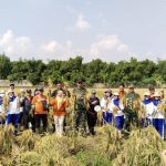 Panen Raya Padi INPARI 32 di Sawah Abadi Cakung Timur, Danramil “Tanah Kita Tetap Subur”