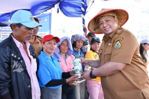 Tingkatkan Produksi Pertanian, Pemkab Samosir Gelar Tanam Padi Bersama dan Festival Manuan Eme