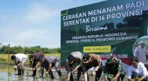 Langkah Bupati Kediri Mas Dhito Angkat Harga Gabah, Petani Kembali Tanam Padi