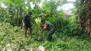 Satgas TMMD 125 Kodim 1506/Namlea Melaksanakan Target 10.000 Tanam Bibit Pohon Keras