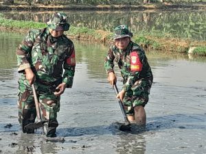 Danramil 05/Bantargebang Bersama Poktan Parahiyangan Perkuat Ketahanan Pangan Lewat Pengolahan Lahan dan Pembibitan Padi