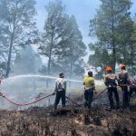 Brimob Aceh Gerak Cepat Padamkan Karhutla Di Gayo Lues