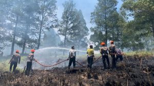 Brimob Aceh Gerak Cepat Padamkan Karhutla Di Gayo Lues