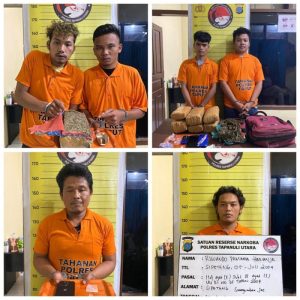 Polres Taput Ringkus Enam Orang Pelaku Penyalahgunaan Narkotika 1 di Antaranya Residivis