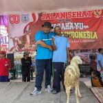 Meriahkan HUT Kemerdekan RI ke-80 Tahun 2025 Pemdes Plososetro Lamongan Gelar Lomba Jalan Sehat