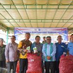 Pemkab Taput Serahkan Bibit Bawang Merah CSR SOL untuk Kelompok Tani di Desa Sigurunggurung