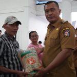 Pemkab Toba Salurkan 34.475 Kg Benih Padi untuk 93 Kelompok Tani
