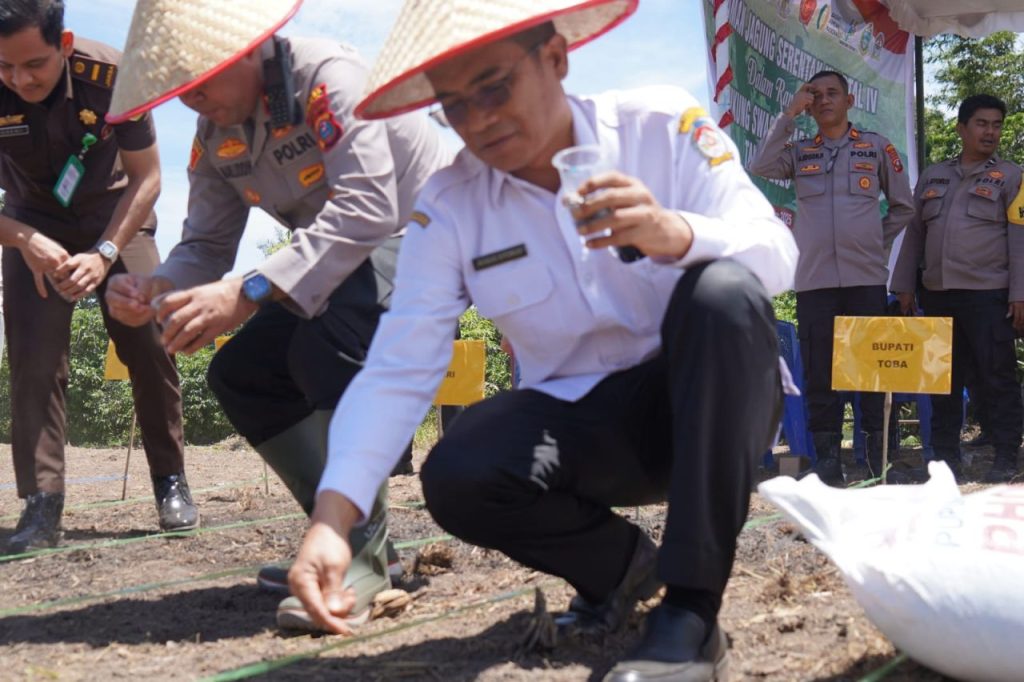 Polres Toba Tanam Jagung Serentak Dukung Swasembada Pangan Nasional