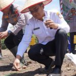 Polres Toba Tanam Jagung Serentak Dukung Swasembada Pangan Nasional