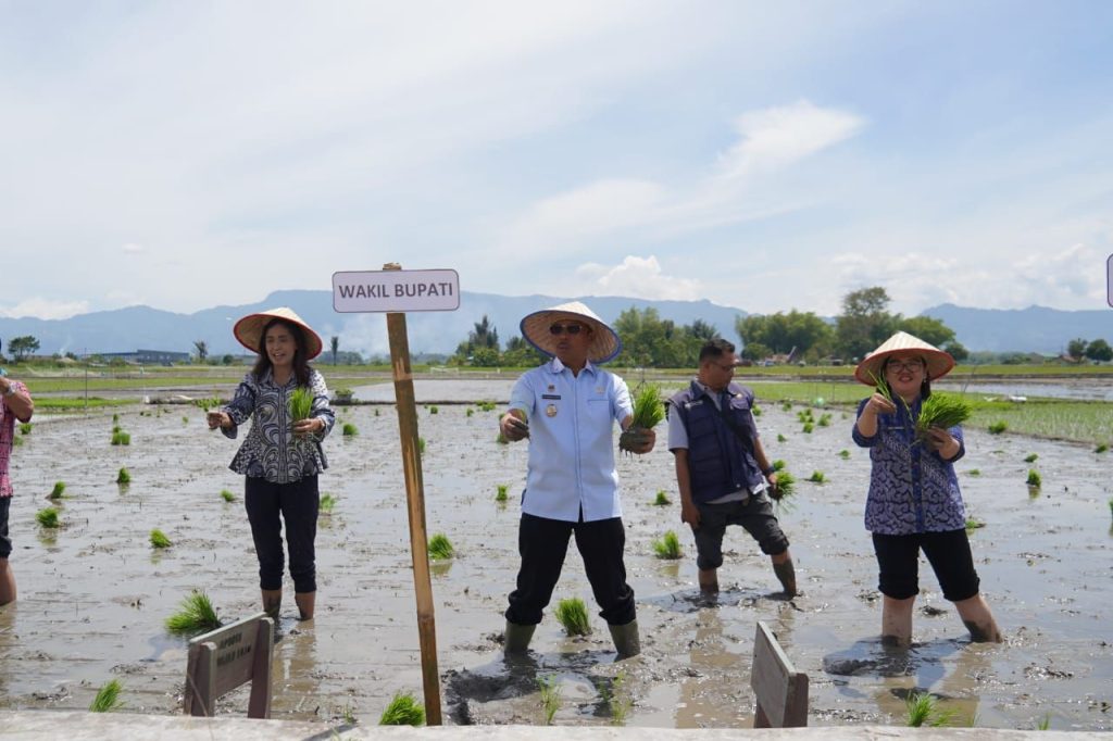 Wabup Toba Audi Murphy Ajak Petani Terapkan Tanam Serentak Demi Panen Maksimal
