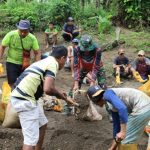 Satgas TMMD Kodim 1505/Tidore Gotong Royong Ambil Pasir Bangun Lapangan Voli