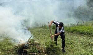 Rutan Balige Olah Lahan Tidur Jadi Kebun Jagung Dukung Ketahanan Pangan