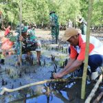 Satgas TMMD Kodim 1505/Tidore Tanam Mangrove di Oba Selatan