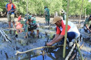 Satgas TMMD Kodim 1505/Tidore Tanam Mangrove di Oba Selatan