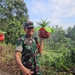 Babinsa Pondok Gede Ubah Jatiraden Jadi Kampung Bunga