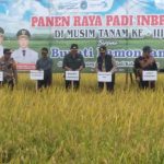 Harga Gabah di Lamongan Tembus Rp 7.200 Saat Panen Raya ke-III