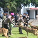 Brimob Metro Jaya Kunjungi Mako Korps Marinir dalam Rangka HUT ke-80 Marinir TNI AL