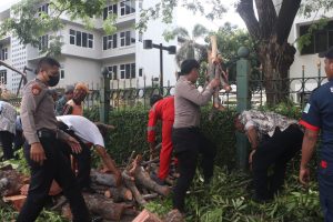 Ditpamobvit Polda Metro Jaya Gerak Cepat Evakuasi Pohon Tumbang Dekat Stasiun MRT Jakarta